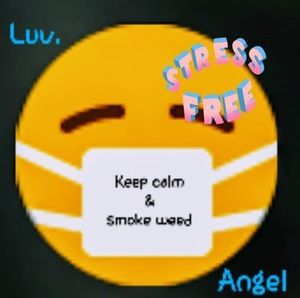 Meet your Posher, Angel